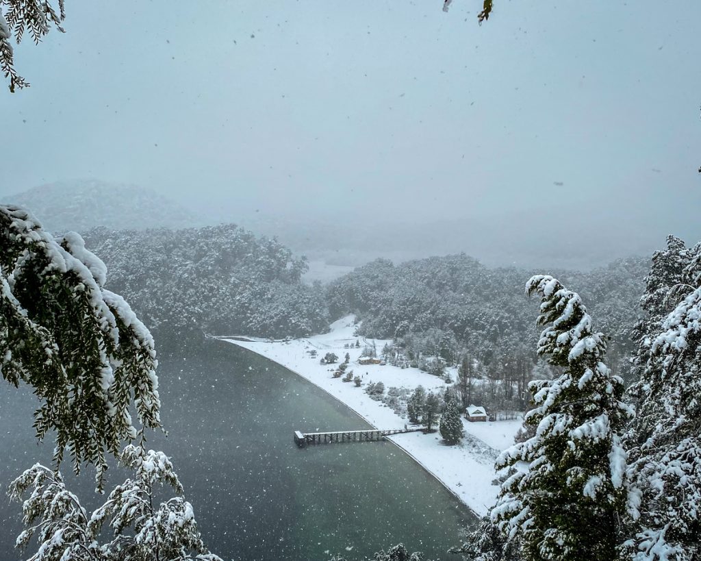Vista de lago entre vegetação com neve