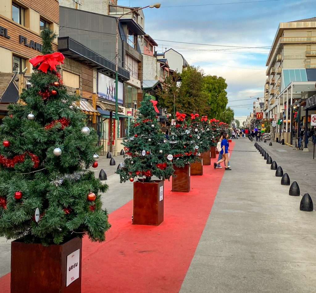 rua com fila de árvores de natal decoradas no centro