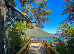 passarela de madeira com árvores ao lado e lago e montanha ao fundo