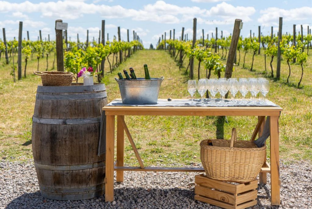 mesa com taças de vinho e barril ao lado com parreirais ao fundo