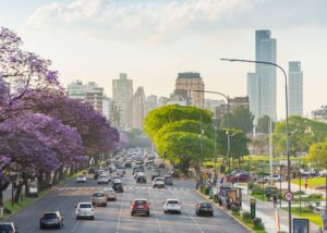 avenida de capital com carros e árvores floridas nas laterais