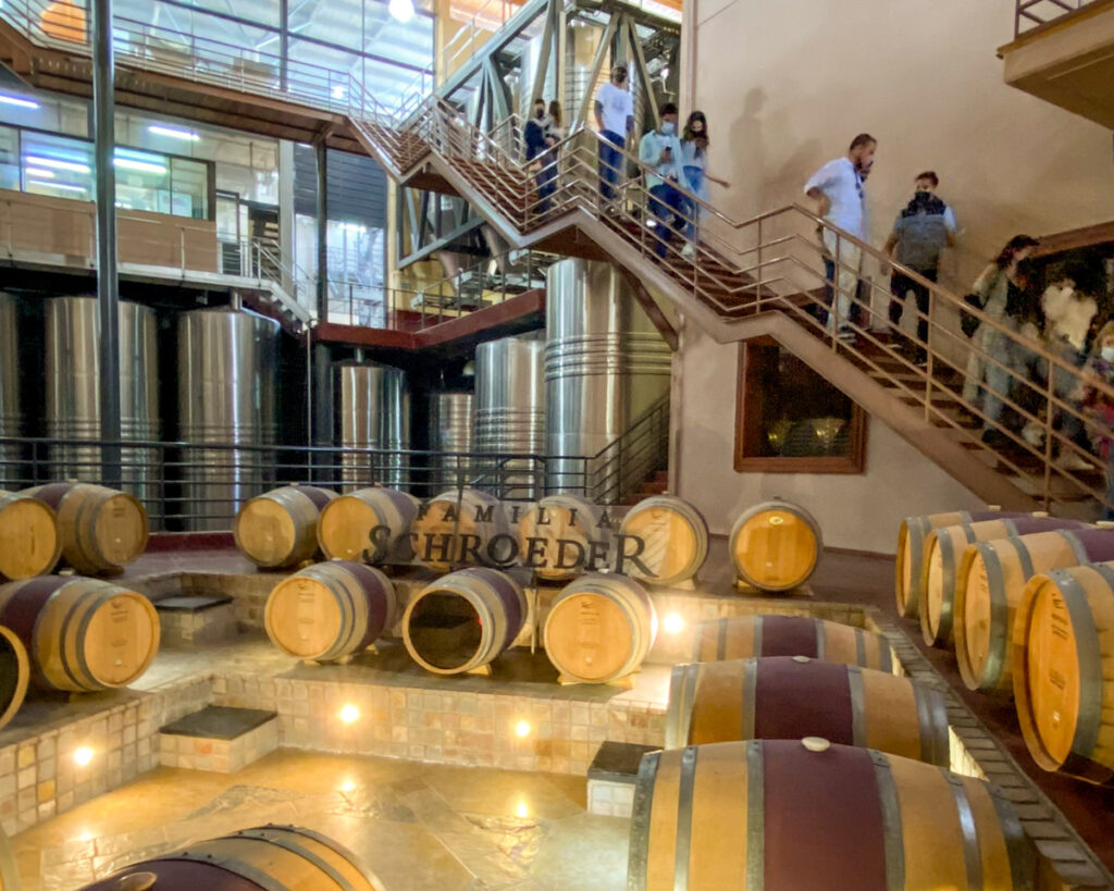 Armazenagem e Produção de vinhos