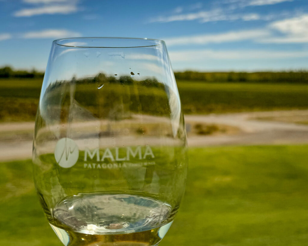 taça de vinho com campo ao fundo